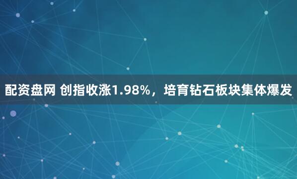 配资盘网 创指收涨1.98%，培育钻石板块集体爆发