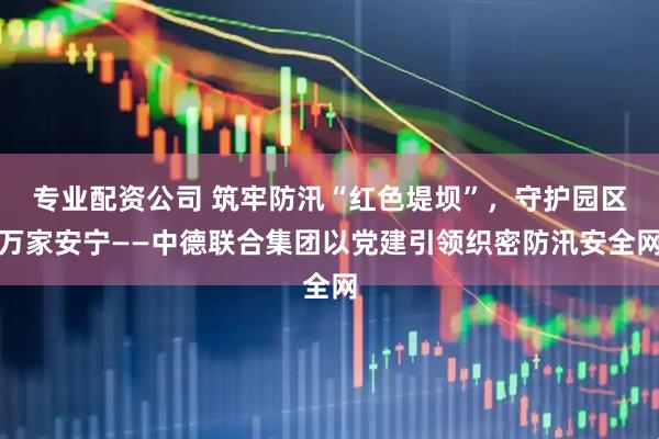 专业配资公司 筑牢防汛“红色堤坝”，守护园区万家安宁——中德联合集团以党建引领织密防汛安全网