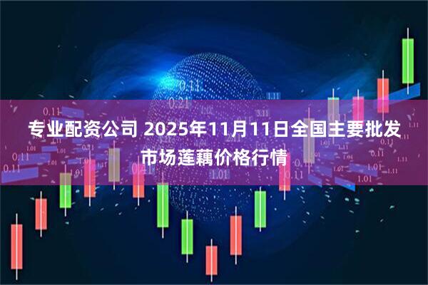 专业配资公司 2025年11月11日全国主要批发市场莲藕价格行情